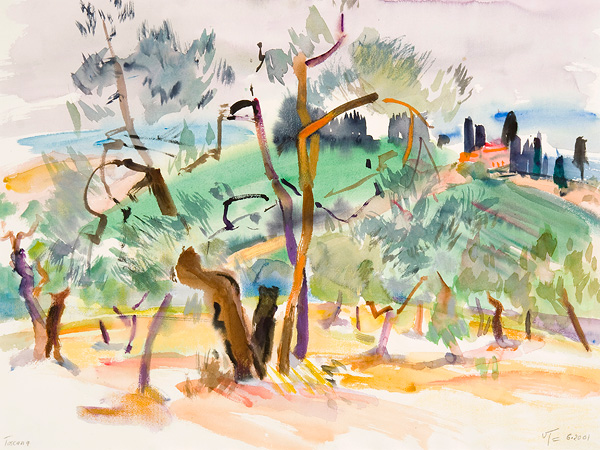 Junge Olivenbäume Toskana 200 36 x 51 cm