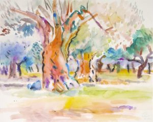 Alte Olivenbäume (Rhodos) 2005 50 x 40 cm